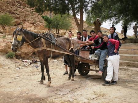 ---------------------